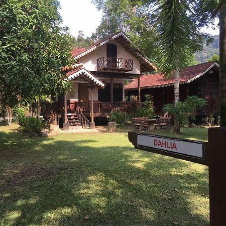 Rustic Chalet - Dahlia N Mawar At Sedim Vista Kulim Exterior photo